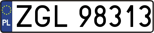 ZGL98313
