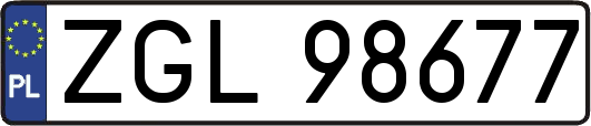 ZGL98677
