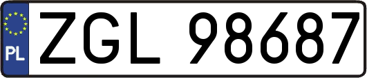 ZGL98687