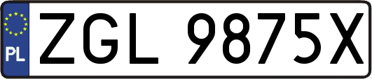 ZGL9875X