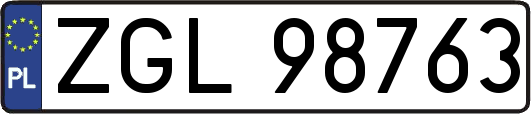 ZGL98763