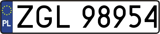 ZGL98954