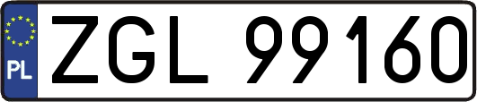 ZGL99160