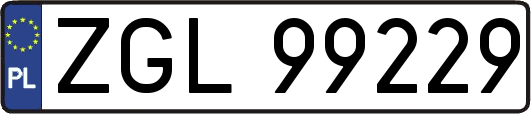 ZGL99229
