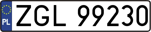 ZGL99230