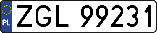 ZGL99231