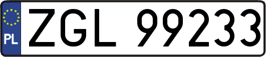 ZGL99233