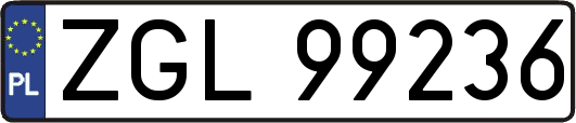 ZGL99236