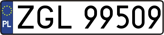 ZGL99509