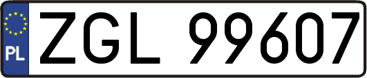 ZGL99607