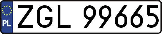 ZGL99665