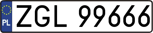 ZGL99666