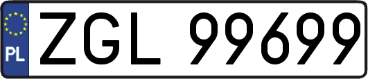 ZGL99699