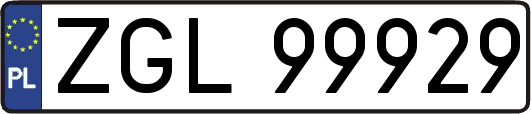 ZGL99929