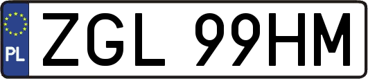 ZGL99HM