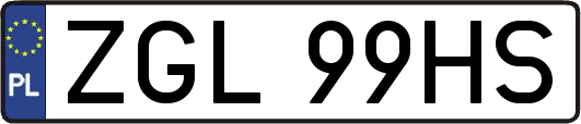 ZGL99HS