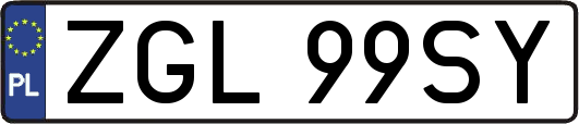 ZGL99SY