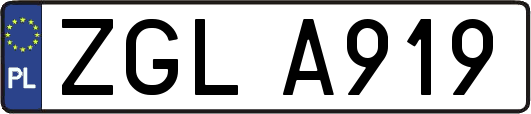 ZGLA919