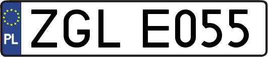 ZGLE055