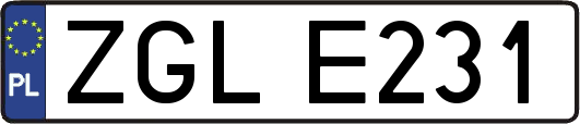 ZGLE231