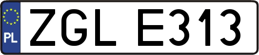 ZGLE313