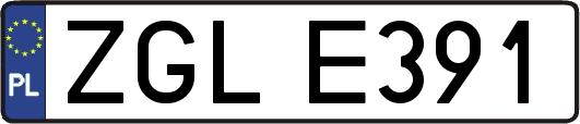 ZGLE391