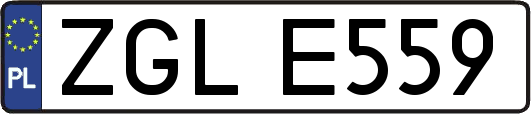 ZGLE559