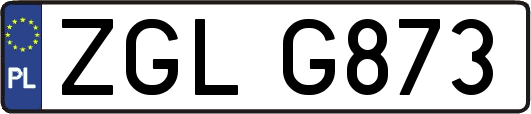 ZGLG873