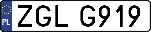 ZGLG919