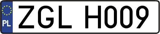ZGLH009