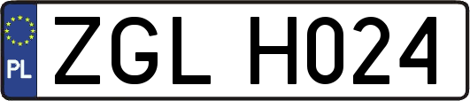 ZGLH024
