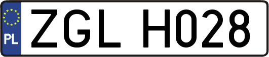 ZGLH028