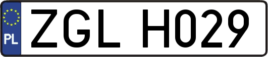 ZGLH029