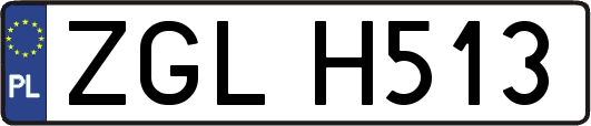 ZGLH513