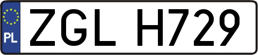 ZGLH729