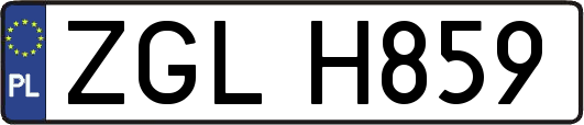 ZGLH859