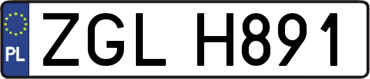 ZGLH891