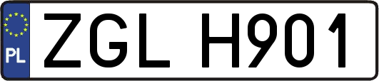ZGLH901