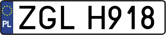 ZGLH918