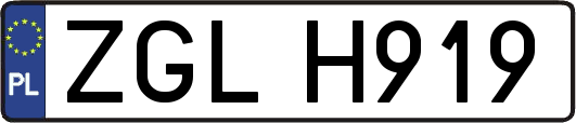 ZGLH919