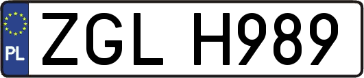 ZGLH989