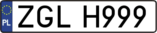 ZGLH999