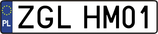 ZGLHM01
