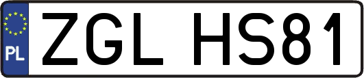 ZGLHS81