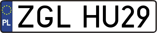 ZGLHU29