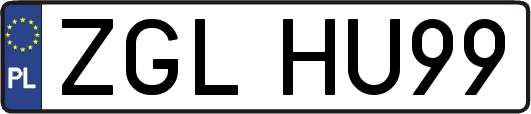 ZGLHU99