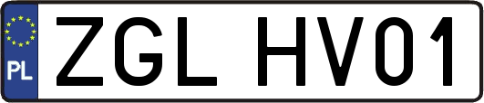 ZGLHV01