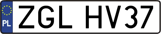 ZGLHV37