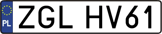 ZGLHV61