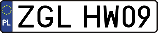 ZGLHW09